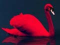 Laro Love Birds Puzzle