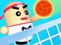 Laro Amazing Volleyball