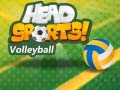 Laro Head Sports Volleyball