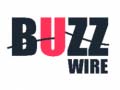 Laro Buzz Wire