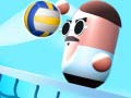 Laro Pill Volley