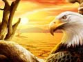 Laro Eagle