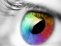 Laro Colours And Designs