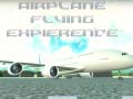 Laro Airplane Flying Expierence