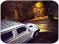 Laro Scary Car Driving Simulator