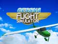 Laro Cessna Flight Simulator