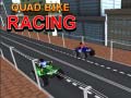 Laro Quad Bike Racing
