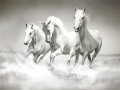Laro Horses Puzzle