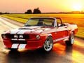 Laro Fancy Mustang Differences