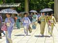 Laro 100 Butterflies in Japan