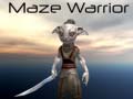 Laro Maze Warrior