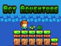 Laro Boy Adventure