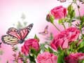 Laro Butterflies Puzzle