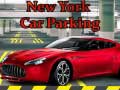 Laro New York Car Parking