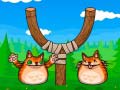 Laro Shot The Angry Cat