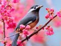 Laro Lovable Birds