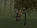 Laro Mountain Bike Rider