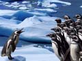 Laro Penguins Slide
