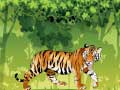 Laro Angry Tiger Coloring