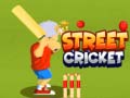 Laro Street Cricket