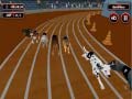 Laro Crazyl Dog Racing Fever