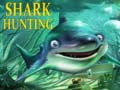 Laro Shark Hunting