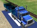 Laro Sea Animal Transport