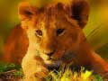 Laro Wild Baby Animals Jigsaw
