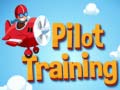 Laro Pilot Training