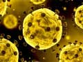 Laro Coronavirus Slide