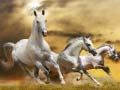 Laro Running Horse Slide