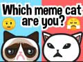 Laro Which Meme Cat Are You?