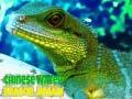 Laro Chinese Water Dragon Jigsaw