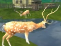 Laro Deer Hunting Sniper Shooting