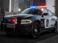 Laro Police Cars Slide