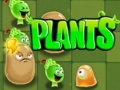 Laro Plants