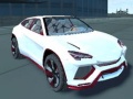 Laro Amsterdam Project Car Physics Simulator