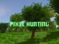 Laro Pixel Hunting
