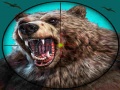 Laro Wild Bear Hunting