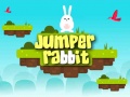 Laro Jumper Rabbit