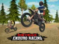 Laro Dirt Bike Enduro Racing