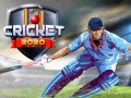 Laro Cricket 2020