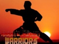 Laro Karate Sunset Warriors