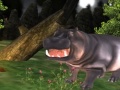 Laro Wild Hippopotamus Hunting