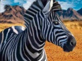 Laro Zebra Hunter
