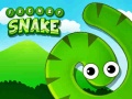 Laro Frenzy Snake