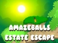 Laro Amazeballs Estate Escape