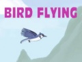 Laro Bird Flying