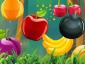 Laro Fruit Cutting