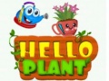 Laro Hello Plant 